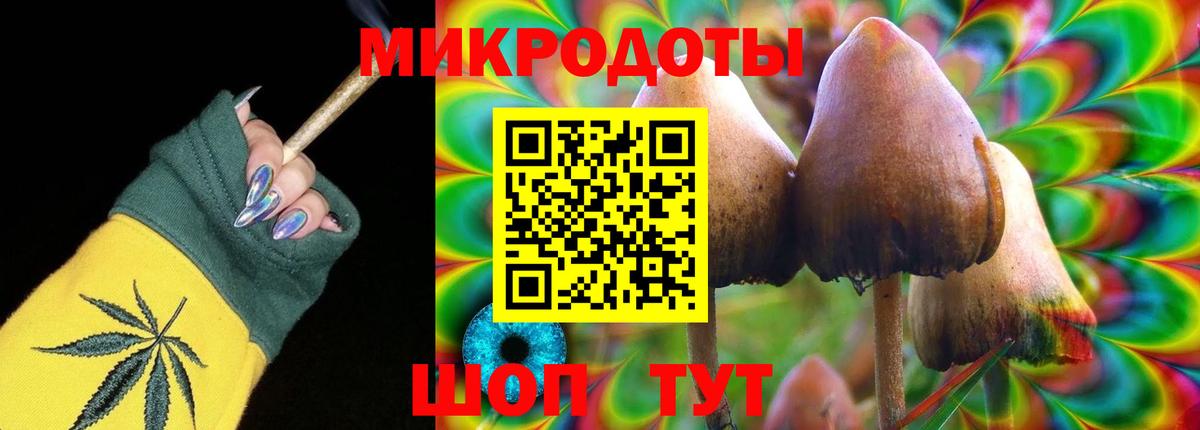 Псилоцибиновые грибы GOLDEN TEACHER  Вход с VPN  Псилоцибиновые грибы прущие грибы  Тобольск 